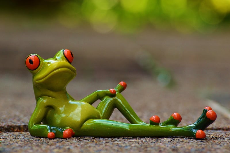 Relaxation Activities